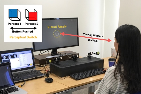 Perceptual Switch for Gaze Selection (UIST ’18 Adjunct)